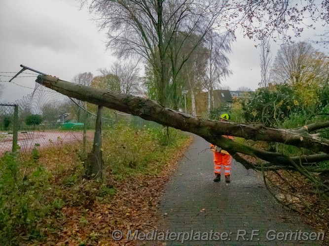 Mediaterplaatse storm schade groenhovenpark gouda 23112023 Image00003